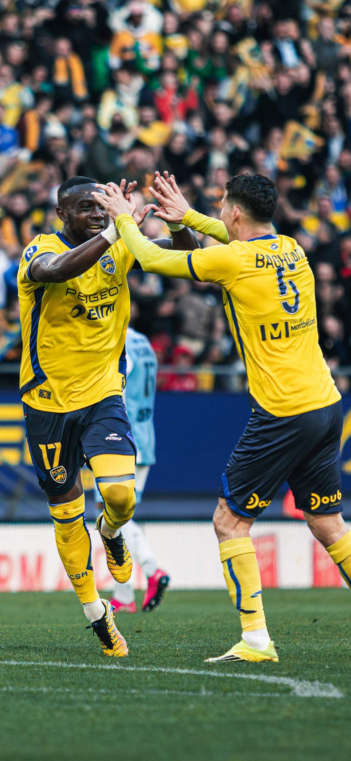 Ligue 2. Quel visage pour le FC Sochaux Montbéliard la saison prochaine ?